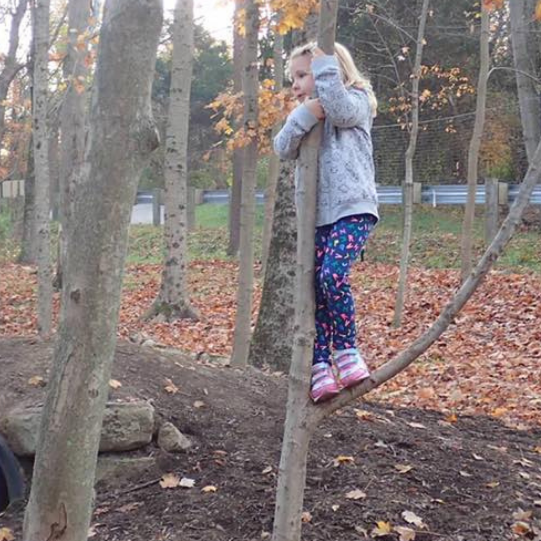 A preschool-aged child stands on the low branch of a small tree, holding onto the trunk with both hands. They're wearing al light grey sweatshirt, navy pants, and pink and white shoes. In the background is an autumn forest with fallen leaves all over the ground. 